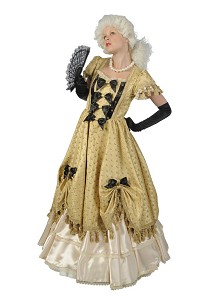 Deluxe Ladies 18th Century Marie Antoinette Georgian Masked Ball Costume Size 10 - 12 Image